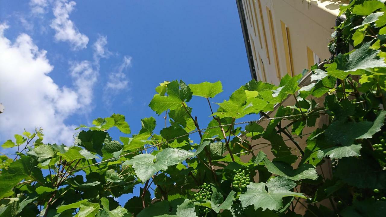 Hotel Pinger Remagen Dış mekan fotoğraf